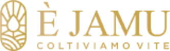 Ejamu_logo_horrizontal_160px