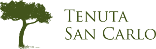 San Carlo